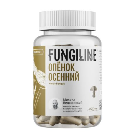 Honey fungus • 60 capsules