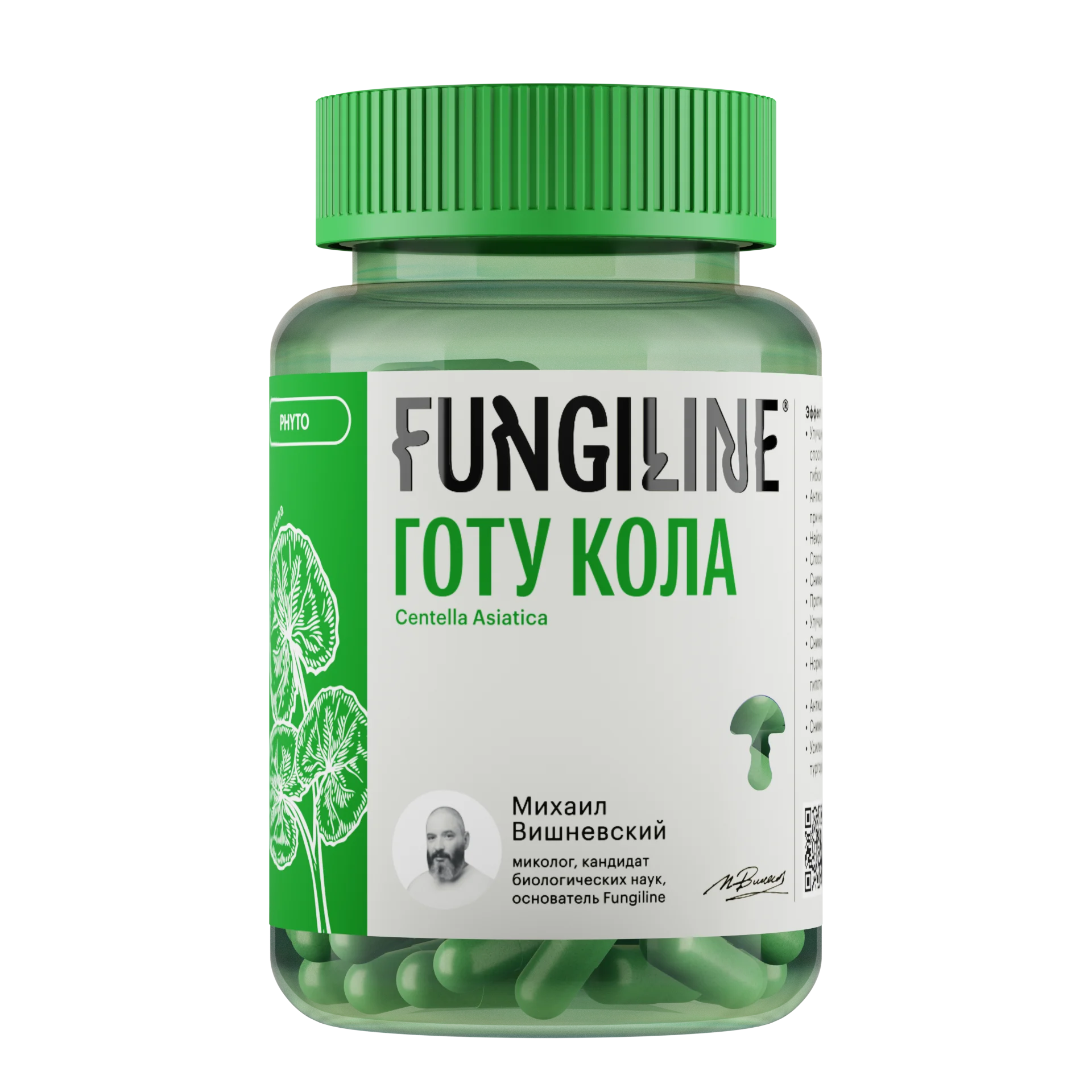 Gotu kola • 60 capsules • Phytoline