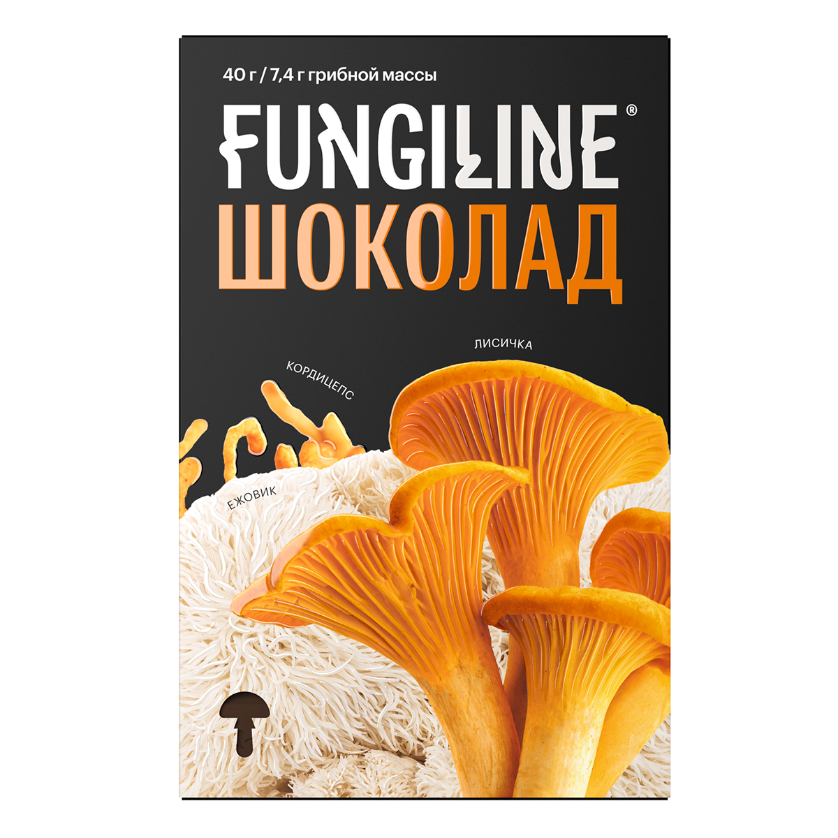Mushroom Chocolate: Healthy Sweets from Fungiline
