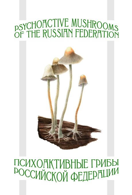 Postcards: Psychoactive Mushrooms