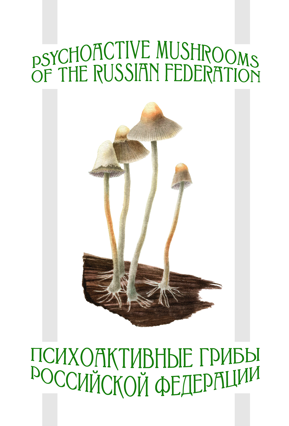 Postcards: Psychoactive Mushrooms