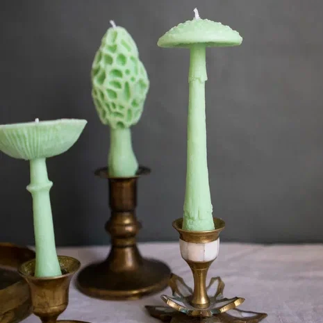 Candle “Fly Agaric” • Comfort by Fungiline