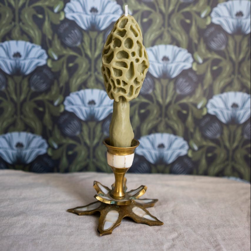 Candle “Morel” • Comfort by Fungiline