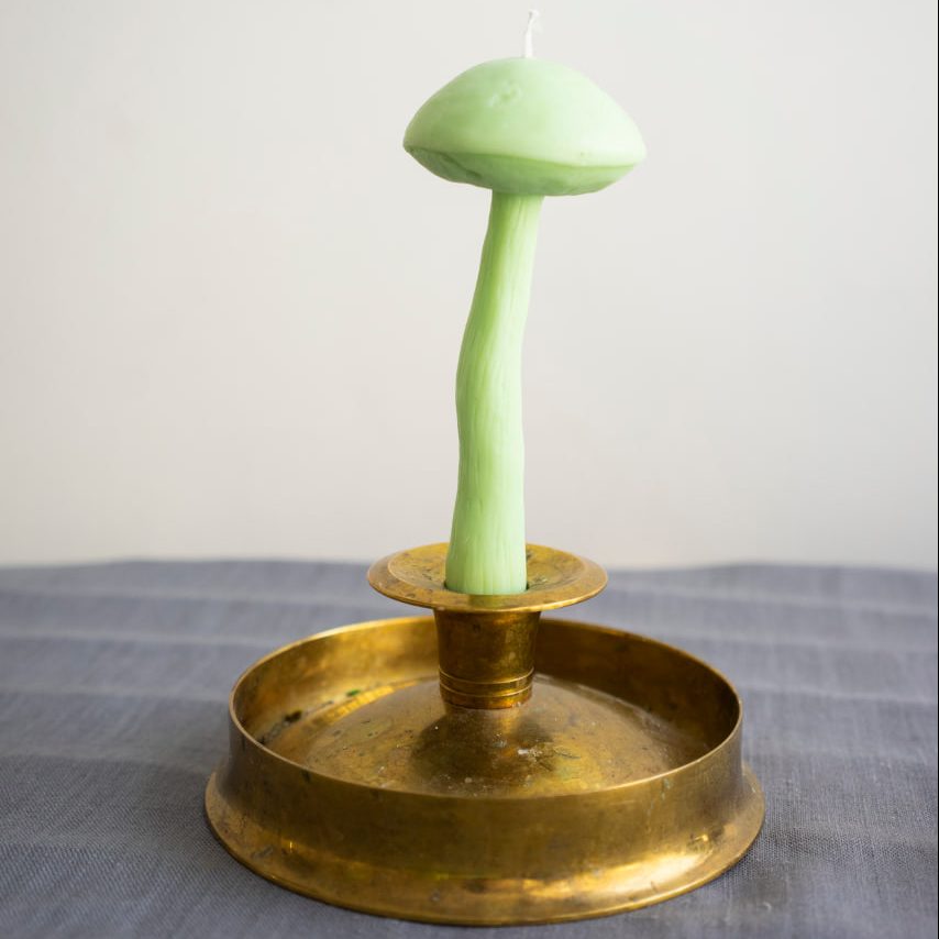 Candle “Birch Bolete” • Comfort by Fungiline