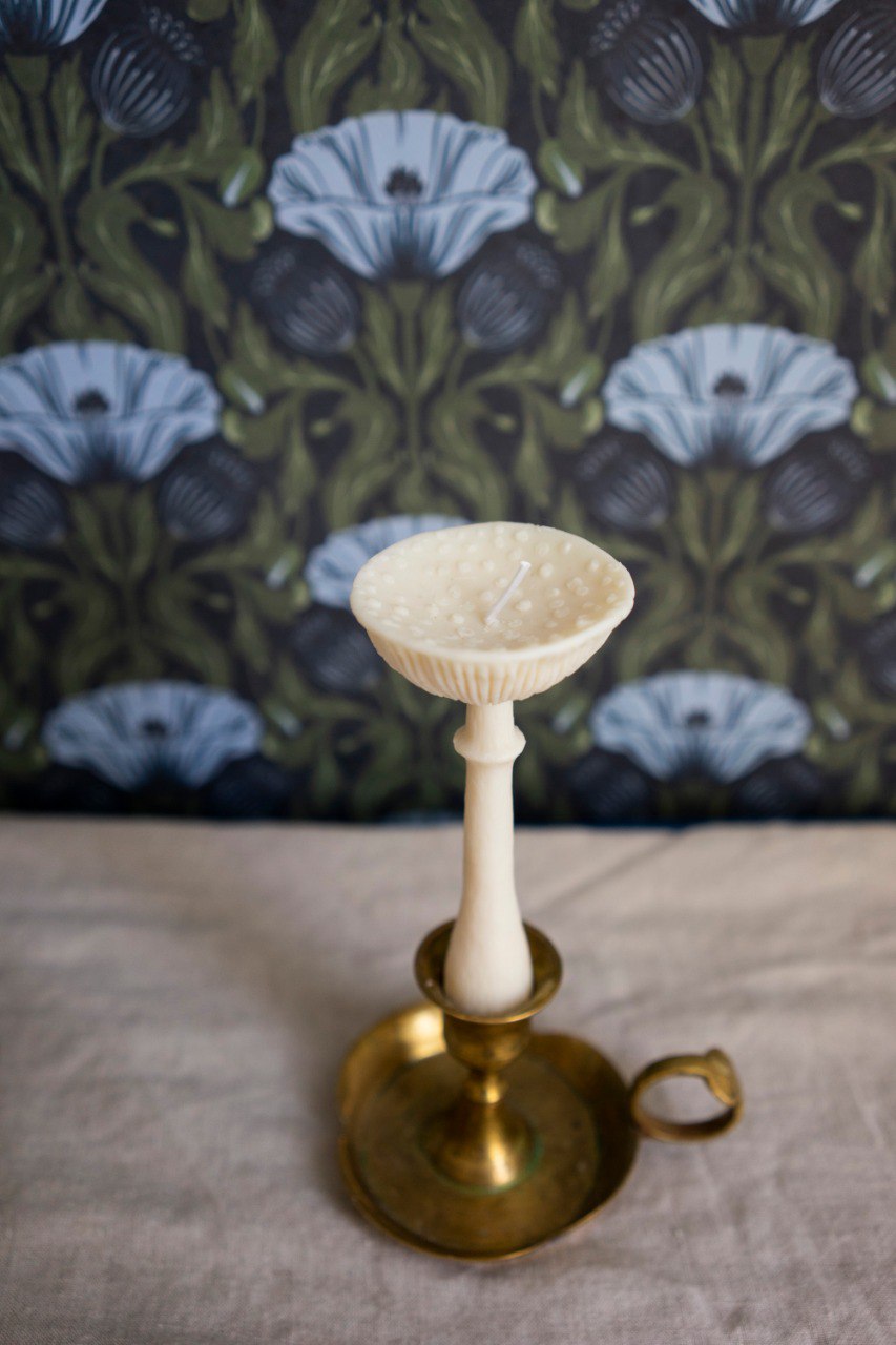 Candle “Mature Fly Agaric” • Comfort by Fungiline
