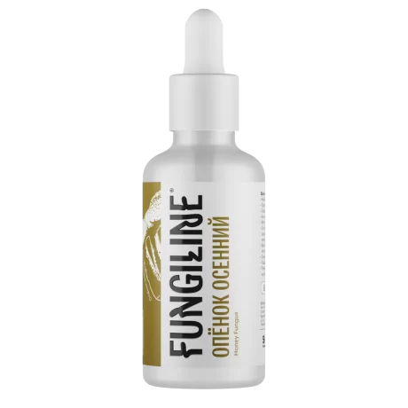 Autumn Honey Fungus • 50 ml