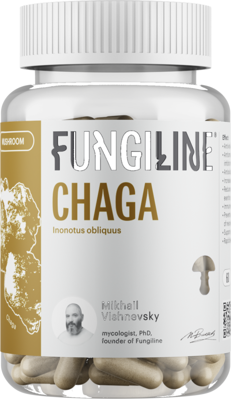 Chaga 60 capsules