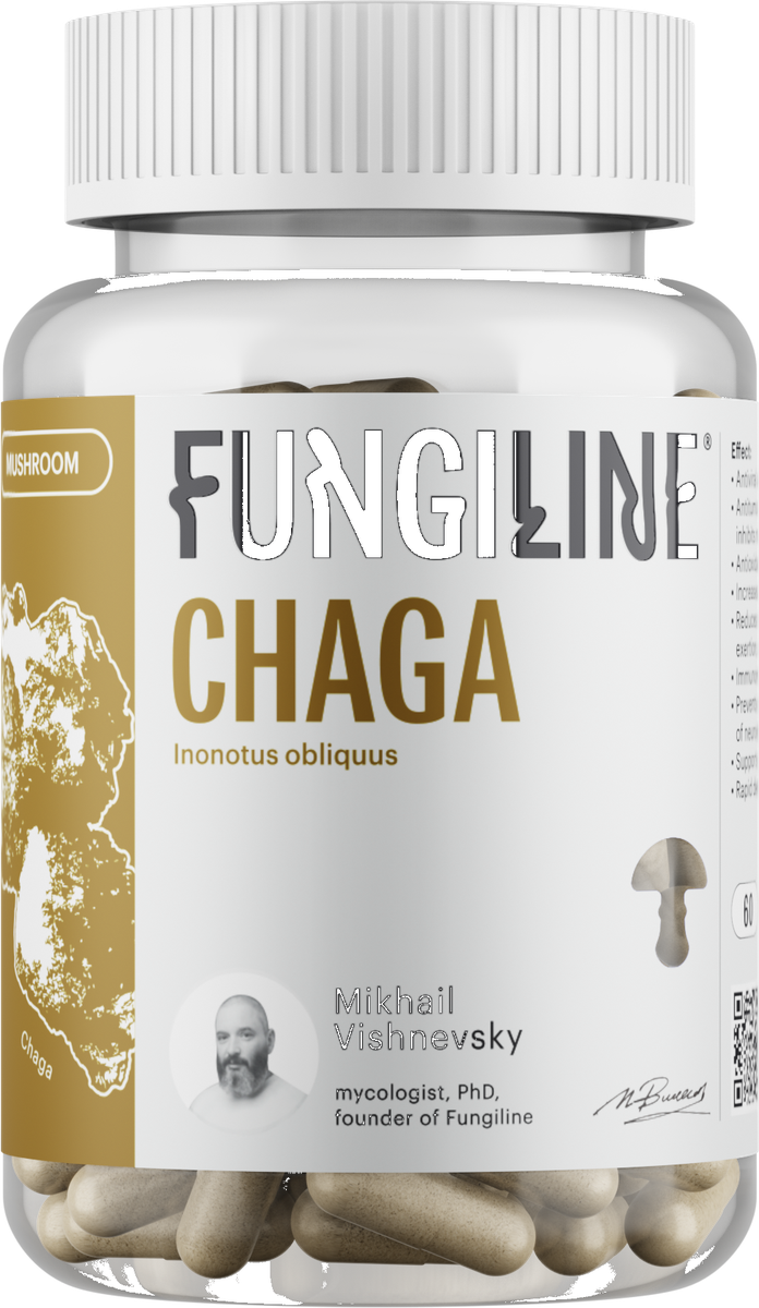 Chaga