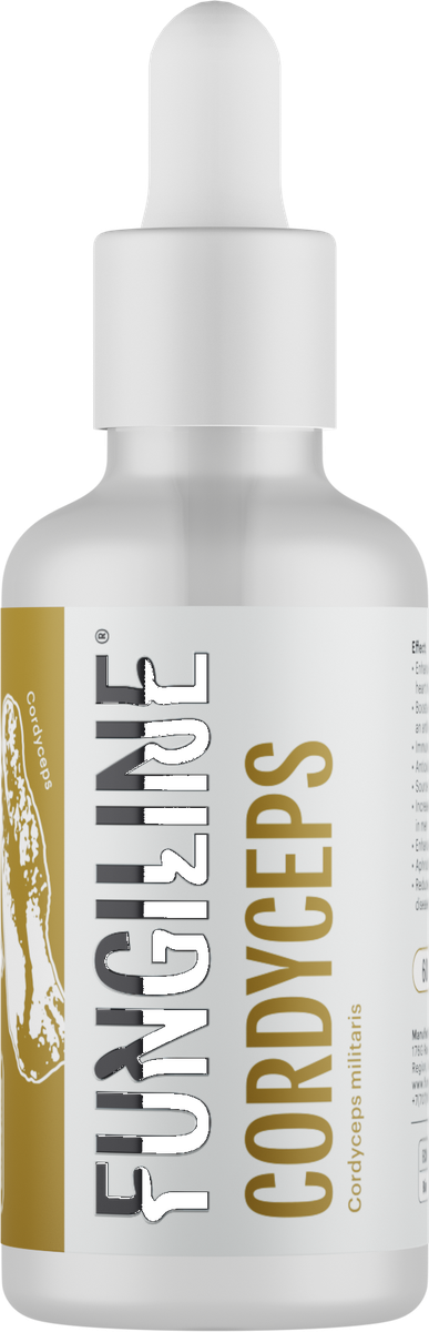 Cordyceps Extract 50ml